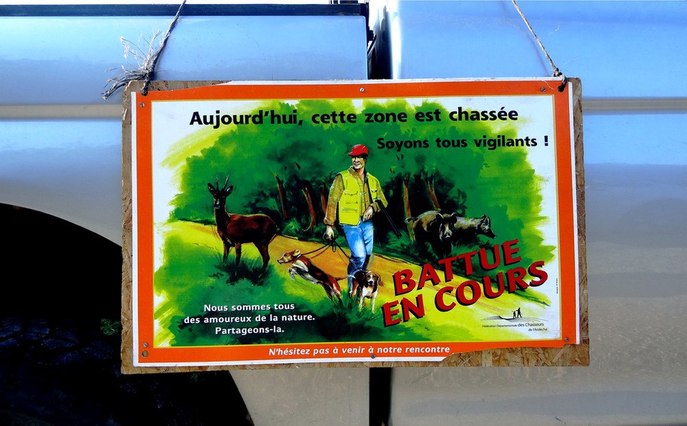 Mortalité des sangliers