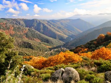 Paysages d'automne 1