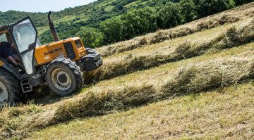 384_638_CG07-ZT-z_026763-12Mpx